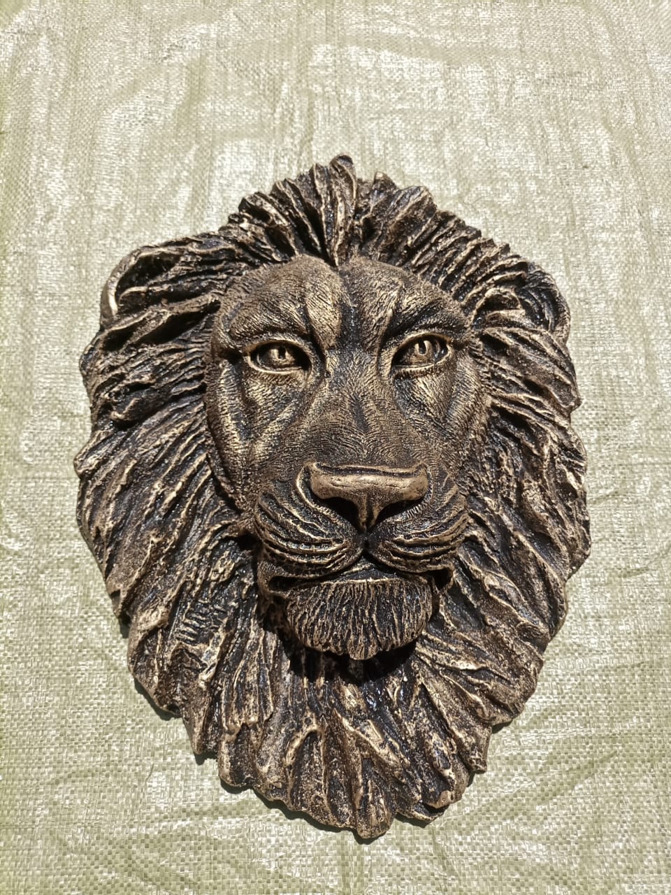 Lion King 